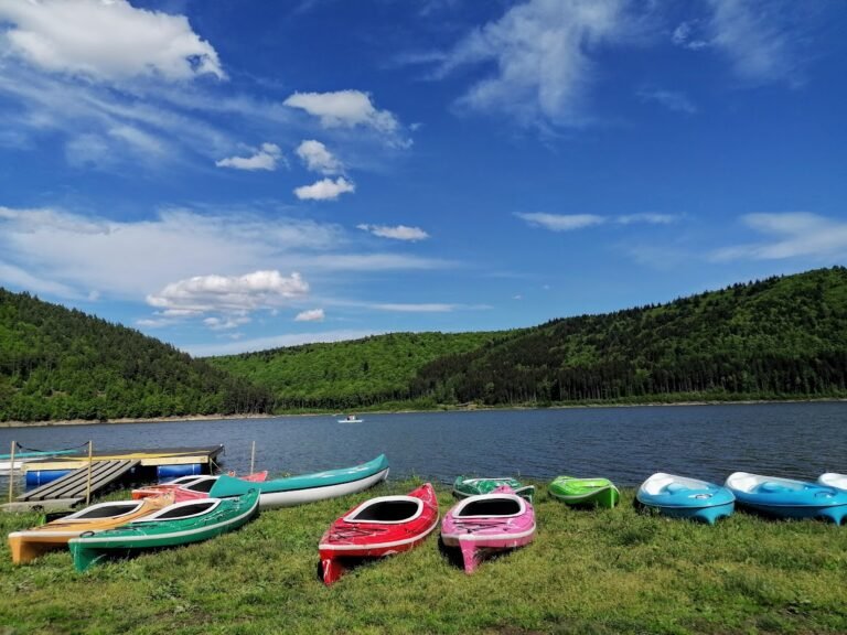 Acasă 2021 06 02 12 32 45 3060b7503deb4b2.jpg